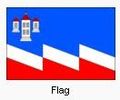Bucoviceflag.jpg